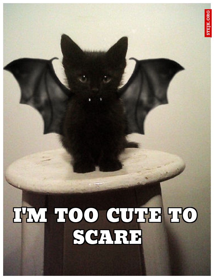 I'M TOO CUTE TO SCARE